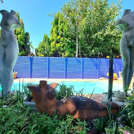 דירות פרטוריה The Sculpture Yard 1 מראה חיצוני תמונה