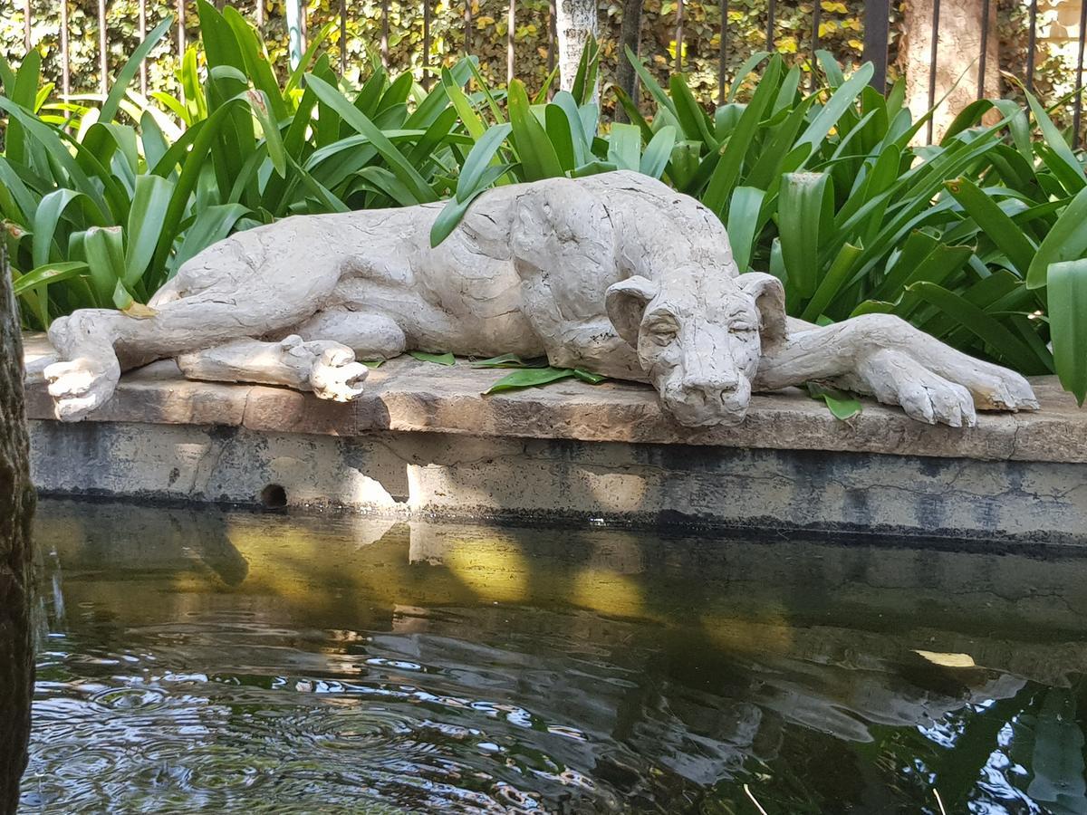 דירות פרטוריה The Sculpture Yard 1 מראה חיצוני תמונה